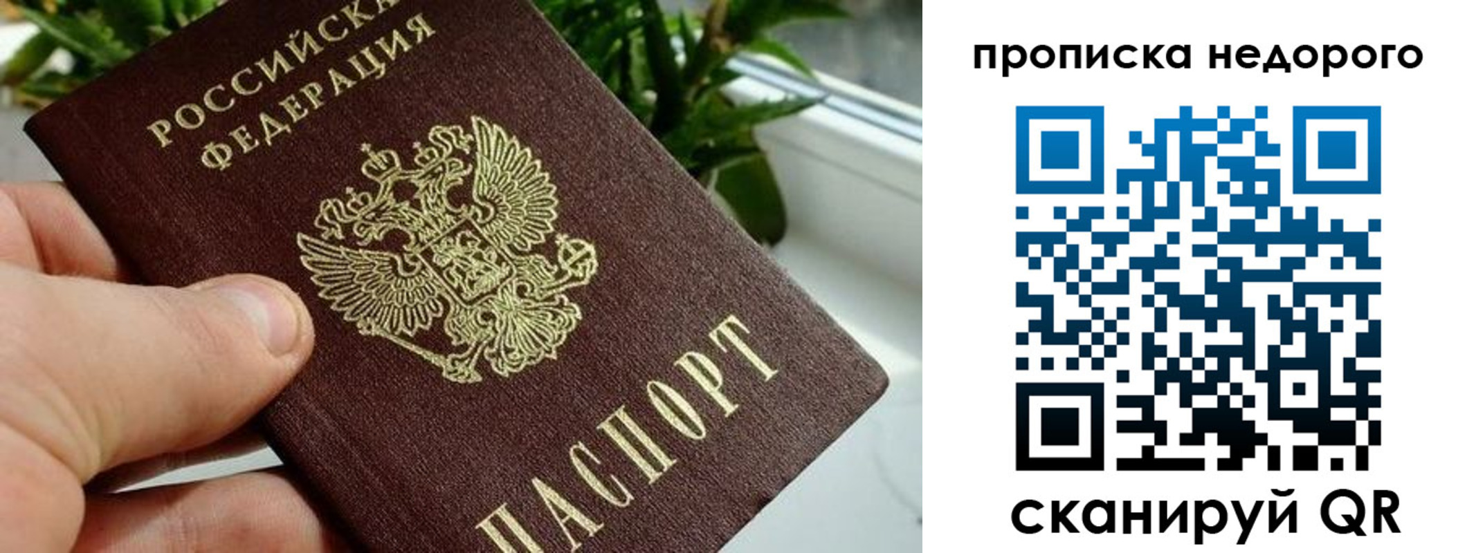 прописка для кредита в Тамбове